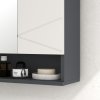 kleankin Bathroom Mirror Cabinet, Wall Mounted Bathroom Storage Cupboard with Adjustable Shelves, 55W x 17D x 55Hcm