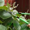 Outsunny 2 Pcs Garden Shears Set, Tree Lopper, Hedge Shears with Telescopic Extendable Handles, Garden Shears for Hedges, Shrubs and Bushes, Lightweight Shrub Care Kit for Cutting, Trimming
