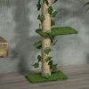 PawHut 242cm Floor to Ceiling Cat Tree for Indoor Cats with Leaves, Height Adjustable Cat Climbing Tower with Scratching Post, Anti-Slip Kit - Green