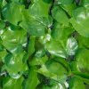 Outsunny 3 X 1m Artificial Plant Wall Panels, Artificial Wall Foliage with Ivy Leaves, Privacy Screen Greenery Grass Wall For Garden Balcony