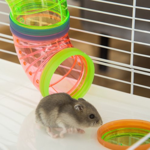 PawHut 5 Tier Hamster Cage, Gerbil Cage with Tube, Water Bottle, Exercise Wheel, Food Dish, 59L x 36W x 69H cm - Light Blue