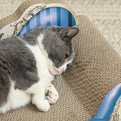 PawHut Cat Scratcher, 2-in-1 Cat Scratching Board with Catnip, Cardboard Lounge for Indoor Cats