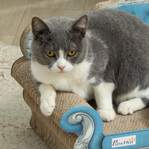 PawHut 2-in-1 Cat Scratcher, Cardboard Cat Scratching Board with Catnip, Cat Scratch Pad for Indoor Cats, 30.5 x 55 x 31.5cm, Light Blue