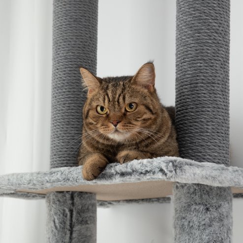 PawHut Floor to Ceiling Cat Tree, 225-255cm Height Adjustable Large Cat Tower 6 Levels Activity Centre for Indoor Cats with Cat Scratching Posts Ramp, Condo Hammock, Play Balls - Grey