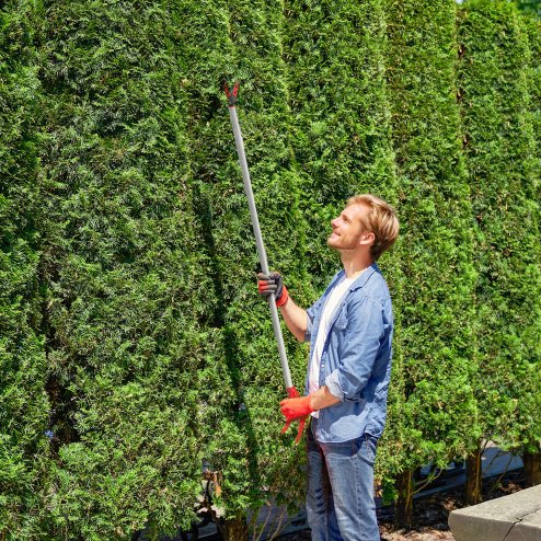 Outsunny 120 cm Tree Pruner, Tree Lopper Long Reach, Lightweight & Strong, Long Reach Tree Trimmer with Aluminium Pole for Fruit Picking and Pruning