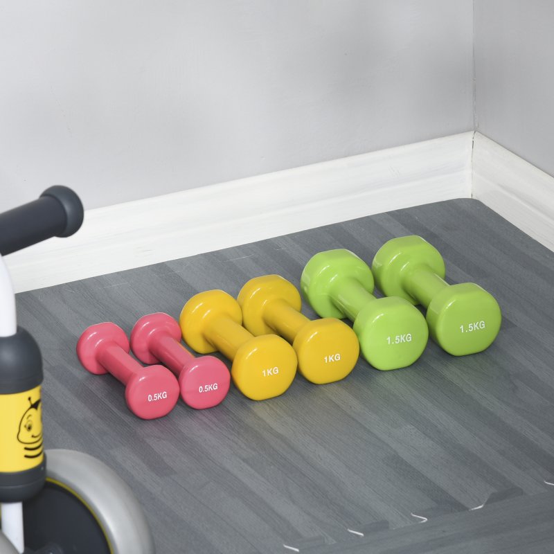 HOMCOM 6kg Dumbbell Set with Suitcase, Fitness Weights Dumbbells Set for Men and Women Home Gym, Workout