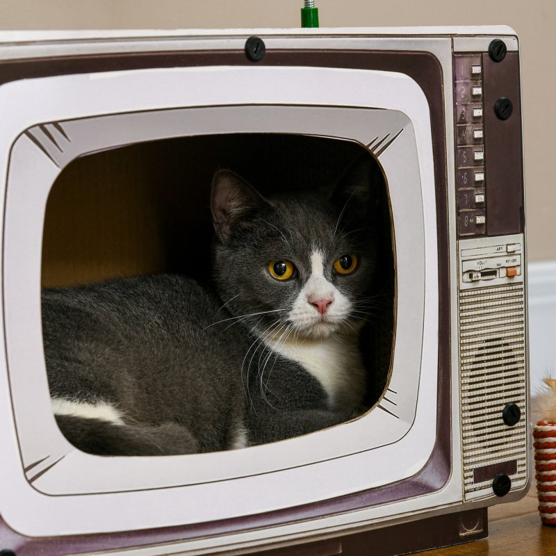 PawHut Cardboard Cat House with Scratcher, Catnip, TV-Shaped Cat Play House with Toy Mouse for Indoor Cats