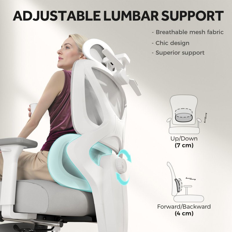 HOMCOM Ergonomic Office Chair, Mesh Desk Chair with 3D Armrests, Rotatable Headrest, Adjustable Lumbar Support, Coat Hanger, Footrest for Home Office, Grey