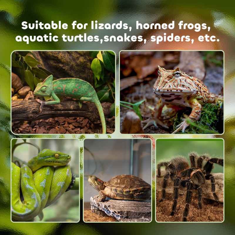 PawHut Vivarium, Terrarium, Glass Reptile Habitat w/ Thermometer, Decoration, Heat for Lizards, Horned Frogs, Snakes, Spiders, 50 x 30 x 35cm