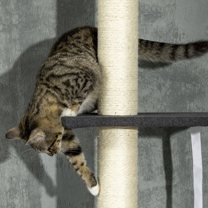 PawHut Floor To Ceiling Cat Tree, 5 Tier Height Adjustable Cat Climbing Tower with Scratching Post, Hammock, Bed for Indoor Cats, 240-270cm, Black