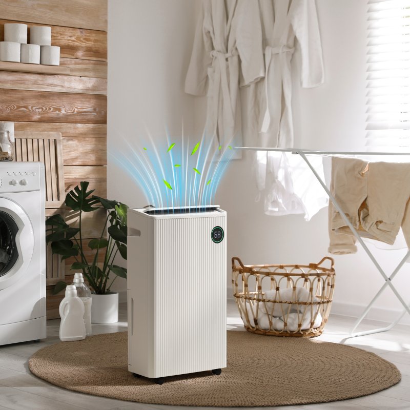 HOMCOM 16L/Day Dehumidifier with Air Purifier and HEPA Filter, UVC, Ioniser, 5.5L Water Tank, 24H Timer, for Home Damp, Condensation, Mould and Laundry Drying, White