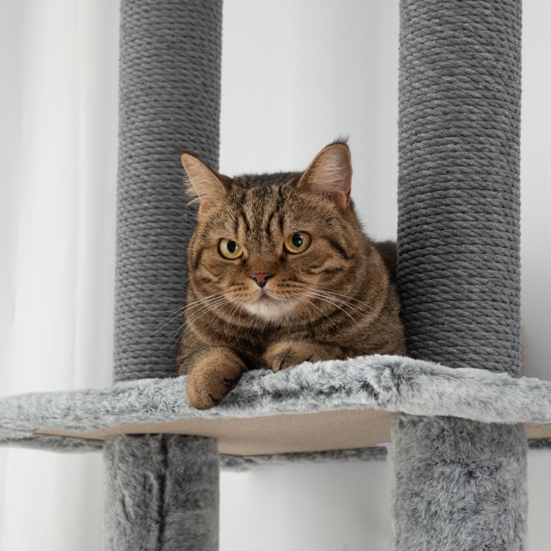 PawHut Floor to Ceiling Cat Tree, 225-255cm Height Adjustable Large Cat Tower 6 Levels Activity Centre for Indoor Cats with Cat Scratching Posts Ramp, Condo Hammock, Play Balls - Grey