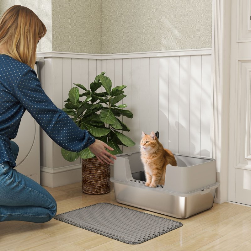 PawHut Stainless Steel Litter Box, High Sided Cat Litter Tray with Metal Scoop, Mat, Never Absorbs Odors, Anti Leakage & Easy to Clean, Pet Toilet for Big Cats, Grey