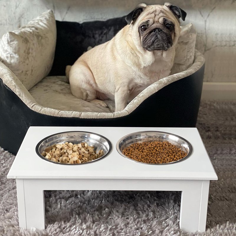PawHut Raised Dog Bowl Feeding Bowls with Stand for Extra Small and Small Dogs Elevated Pet Bowls Water Food Feeder 44L x 24W x 15H cm - White