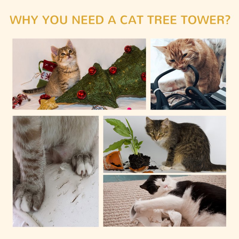 PawHut Floor to Ceiling Cat Tree, 240-260cm Adjustable Height Kitten Tower with Scratching Posts, Cat Houses, Ramps, Hammocks, Toy Balls, Tunnel for Indoor Use - White