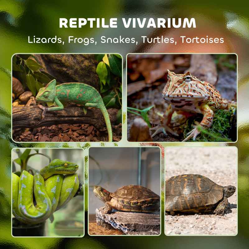PawHut Reptile Glass Terrarium, Reptile Vivarium with Stone Background, Front Ventilation, Escape-Proof Knob Lock, Glass Enclosure for Lizards, Horned Frogs, Snakes, 30 x 20 x 20 cm, Black