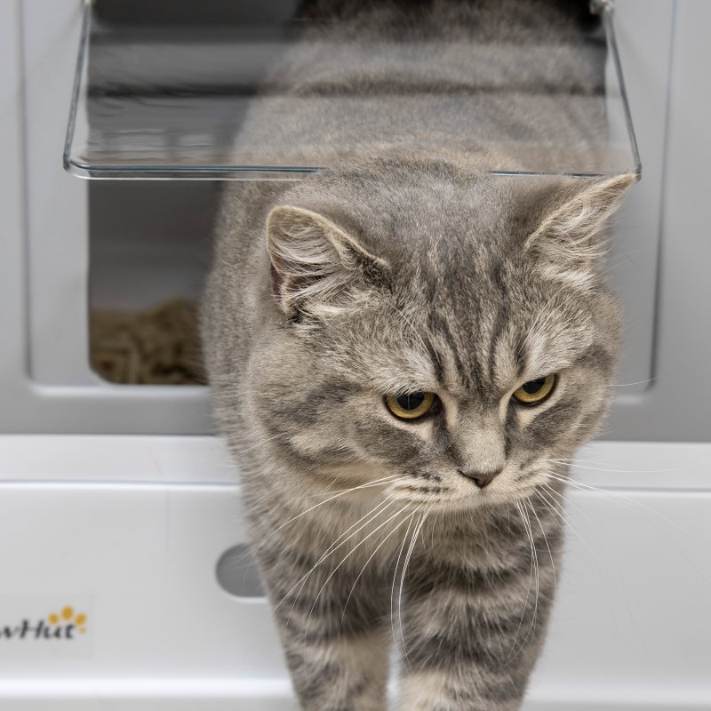 PawHut Cat Litter Tray with Hood Enclosed Cat Litter Box Pet Toilet w/ Lid, Scoop, Front Entry, 47.5 x 35.5 x 36.7cm - Grey