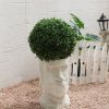 Living and Home 28cm Decorative Artificial Topiary Boxwood Ball